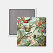 Hummingbirds Square Magnet (Vorderseite/Rückseite)