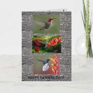 Hummingbirds-Tageskarte Karte