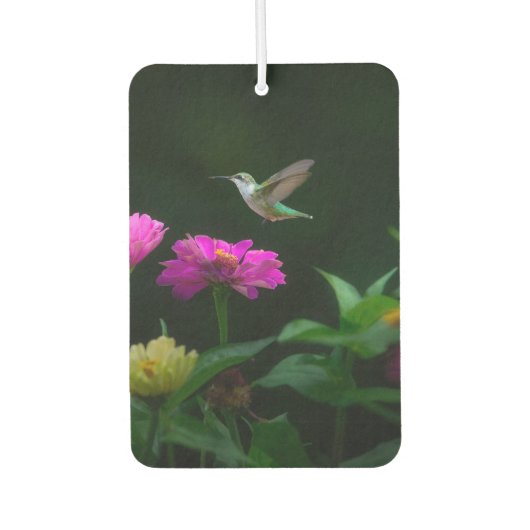 Hummingbirds Times Two Car Air Freshener Autolufterfrischer (Vorderseite)
