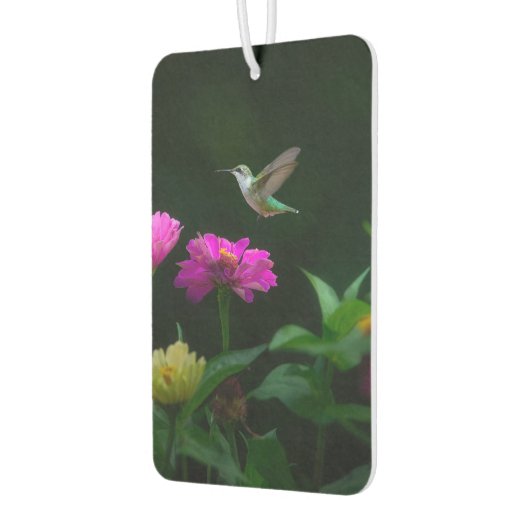 Hummingbirds Times Two Car Air Freshener Autolufterfrischer (Links)