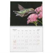 Hummingbirds Tiny Bird Big Attitude Calendar Kalender (Mär 2027)