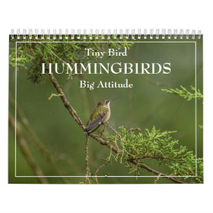 Hummingbirds Tiny Bird Big Attitude Calendar Kalender