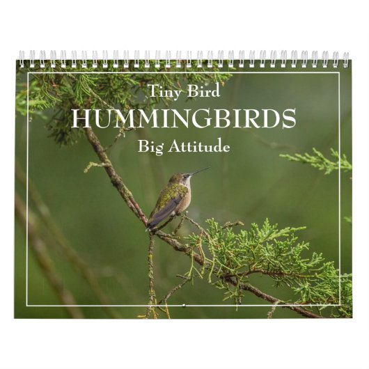 Hummingbirds Tiny Bird Big Attitude Calendar Kalender (Titelbild)