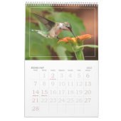 Hummingbirds Tiny Bird Big Attitude Calendar Kalender (Feb 2027)
