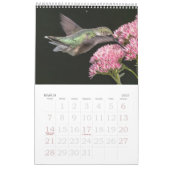 Hummingbirds Tiny Bird Big Attitude Calendar Kalender (Mär 2027)