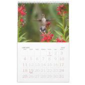 Hummingbirds Tiny Bird Big Attitude Calendar Kalender (Jan 2026)