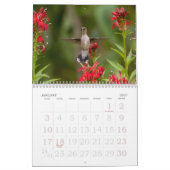 Hummingbirds Tiny Bird Big Attitude Calendar Kalender (Jan 2027)