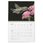 Hummingbirds Tiny Bird Big Attitude Calendar Kalender (Mär 2026)
