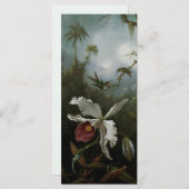 Hummingbirds und White Orchid von Martin J. Heade (Vorne/Hinten)