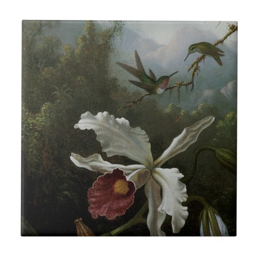 Hummingbirds und White Orchid von Martin J. Heade Fliese (Vorderseite)