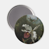 Hummingbirds und White Orchid von Martin J. Heade Magnet (Vorderseite/Rückseite)