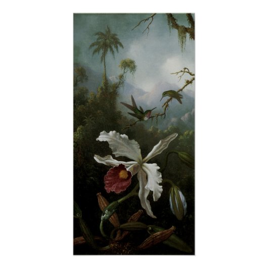 Hummingbirds und White Orchid von Martin J. Heade Poster (Vorderseite)