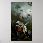 Hummingbirds und White Orchid von Martin J. Heade Poster (Vorne)