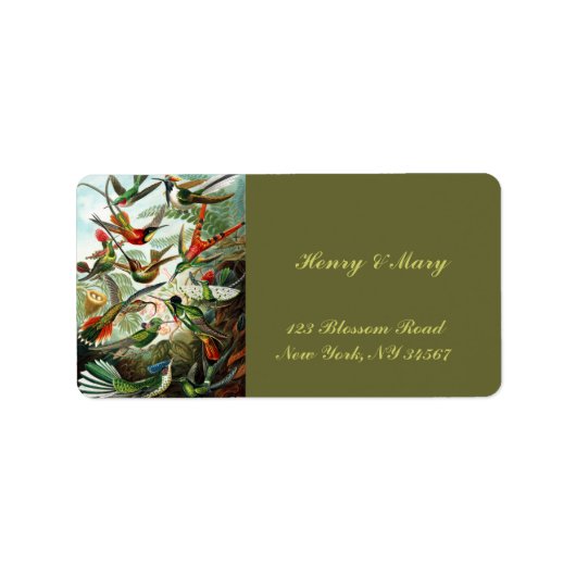 Hummingbirds von Ernst Haeckel Adressaufkleber (Vorne)