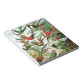 Hummingbirds von Ernst Haeckel Notizblock (angewinkelt)