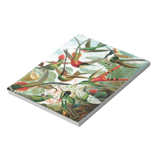 Hummingbirds von Ernst Haeckel Notizblock (Rotiert)