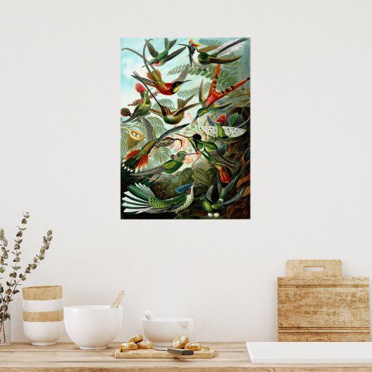 Hummingbirds von Ernst Haeckel Poster (Küche)