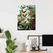 Hummingbirds von Ernst Haeckel Poster (Heimbüro)