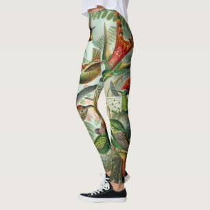 Hummingbirds von Ernst Haeckel, Vintage Vogelarten Leggings