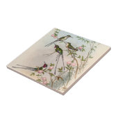 Hummingbirds von John Gould Fliese (Seite)