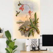 Hummingbirds von John Gould Poster (Heimbüro)