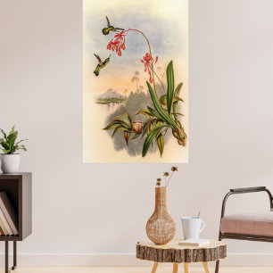 Hummingbirds von John Gould Poster