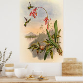 Hummingbirds von John Gould Poster (Küche)