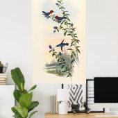 Hummingbirds von John Gould Poster (Heimbüro)