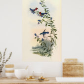 Hummingbirds von John Gould Poster (Küche)