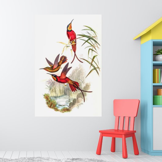 Hummingbirds von John Gould Poster (Kinderzimmer 1)