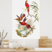 Hummingbirds von John Gould Poster (Küche)