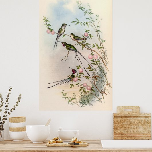 Hummingbirds von John Gould Poster (Küche)