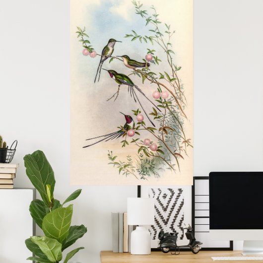 Hummingbirds von John Gould Poster (Heimbüro)