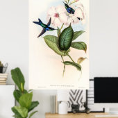 Hummingbirds von John Gould Poster (Heimbüro)