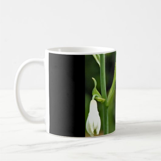 Hummingo Kaffeetasse (Links)