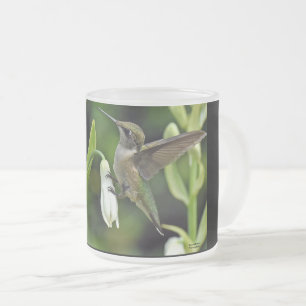 Hummingo Mattglastasse