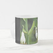 Hummingo Mattglastasse (Vorderseite Links)