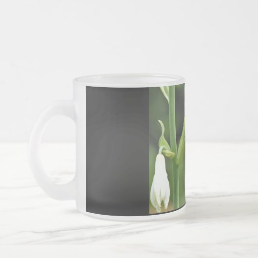 Hummingo Mattglastasse (Links)