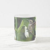 Hummingo Mattglastasse (Mittel)