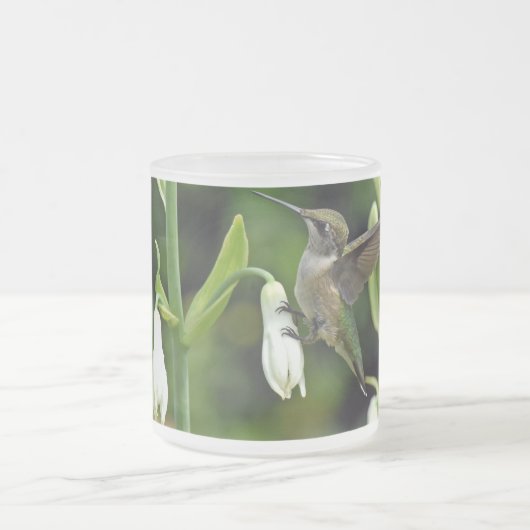 Hummingo Mattglastasse (Mittel)