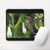 Hummingo Mousepad (Mit Mouse)