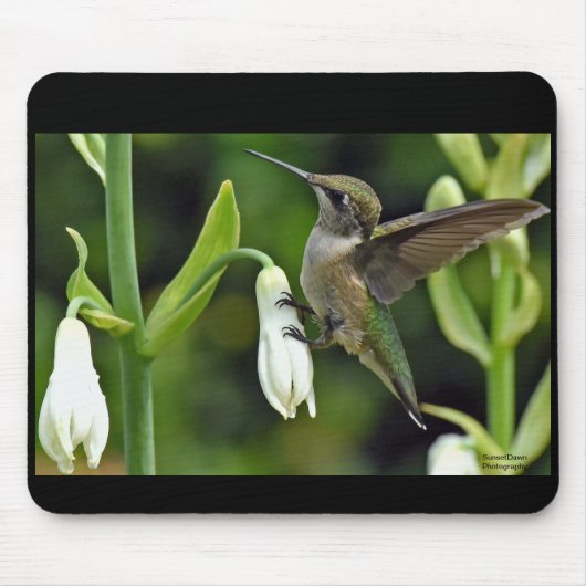 Hummingo Mousepad (Vorne)