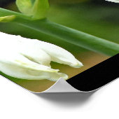 Hummingo Poster (Ecke)