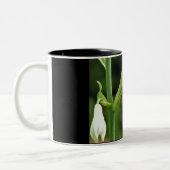 Hummingo Zweifarbige Tasse (Links)