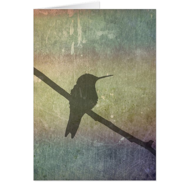 Hummingvogel (Vorne)