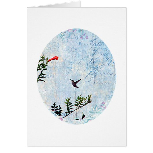 Hummingvogel (Vorne)