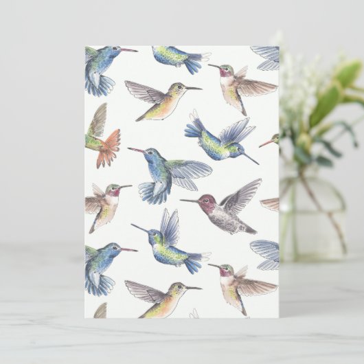 Hummingvögel (Stehend Vorderseite)