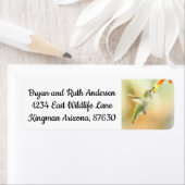 Hummingvogel (Insitu)