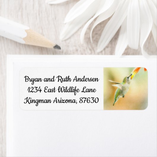 Hummingvogel (Insitu)