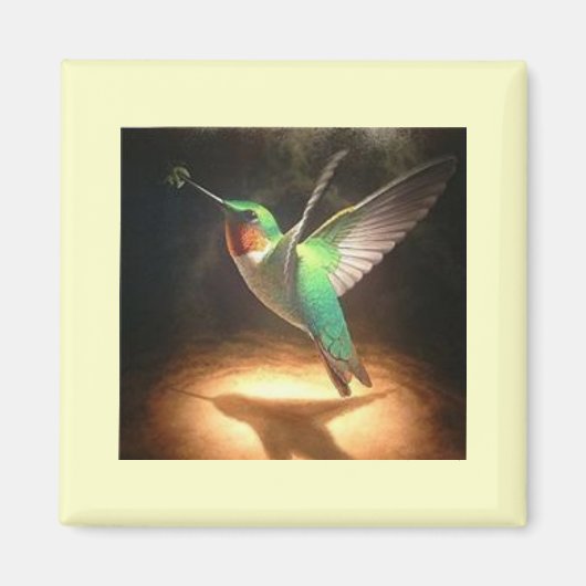 Hummingvogel3 Magnet (Vorne)